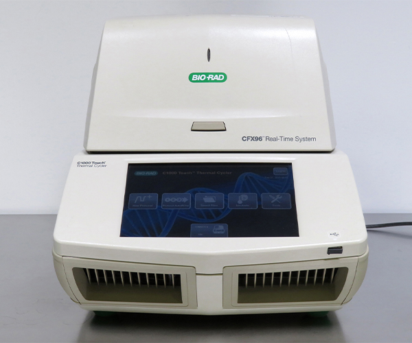 RT-PCR